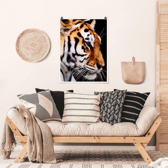 Láminas animales Tiger Beauty