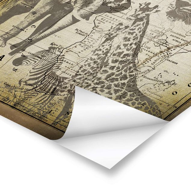 Cuadros modernos Vintage Collage - Africa Wildlife