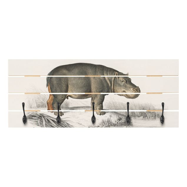 Perchero pared gris Vintage Board Hippo