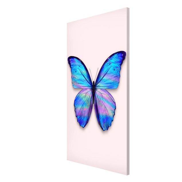 Cuadros de mariposas y flores Holographic Butterfly