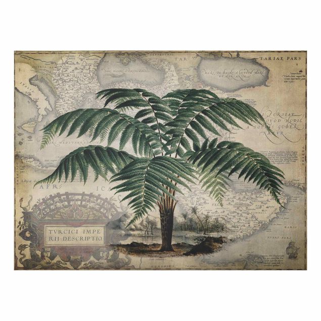 Cuadros de paisajes naturales  Vintage Collage - Palm And World Map