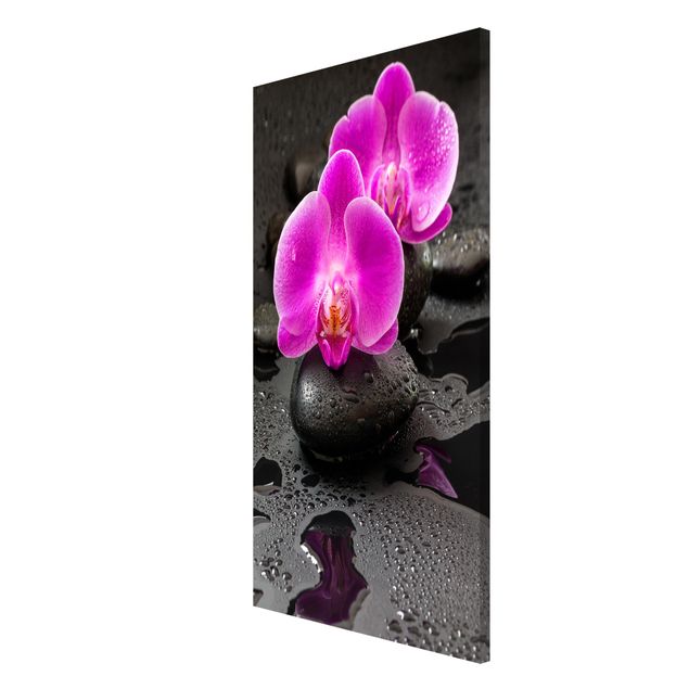 Tableros magnéticos flores Pink Orchid Flower On Stones With Drops