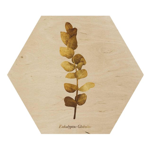 cuadro hexagonal Gold - Eucalyptus