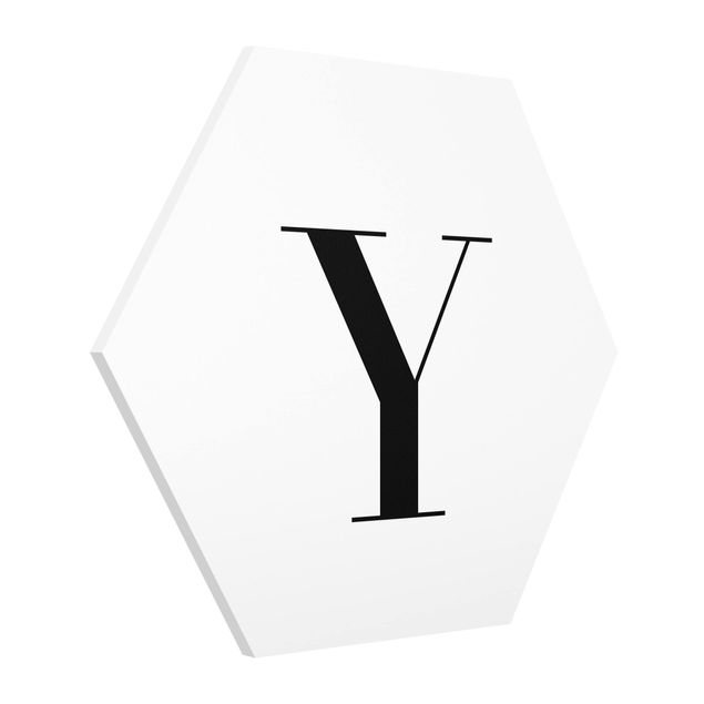 Cuadros modernos Letter Serif White Y