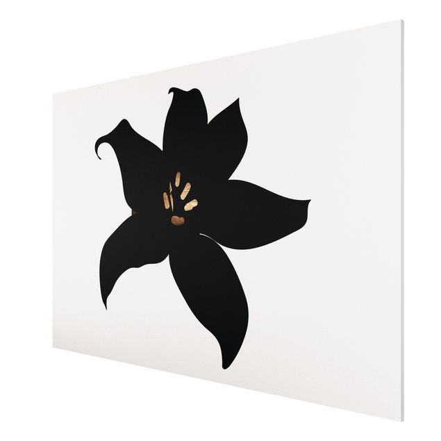 Cuadros de peces modernos Graphical Plant World - Orchid Black And Gold