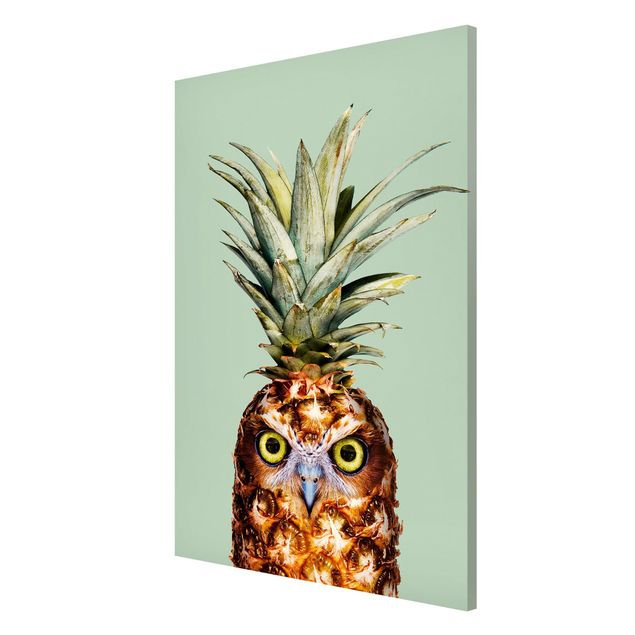 Tableros magnéticos animales Pineapple With Owl