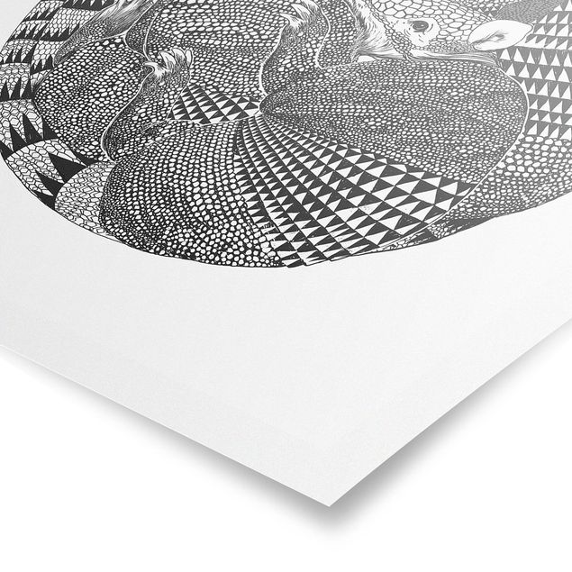 Cuadros en blanco y negro Illustration Armadillos Black And White Pattern