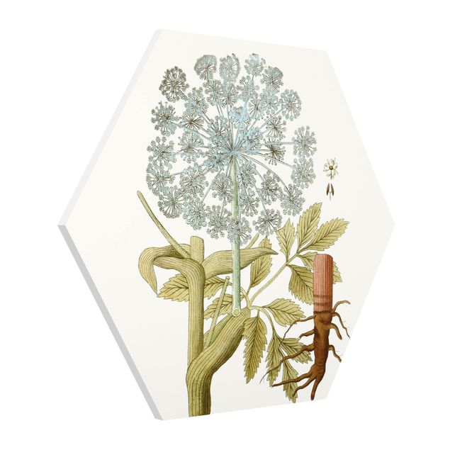 Cuadros decorativos modernos Wild Herbs Board III