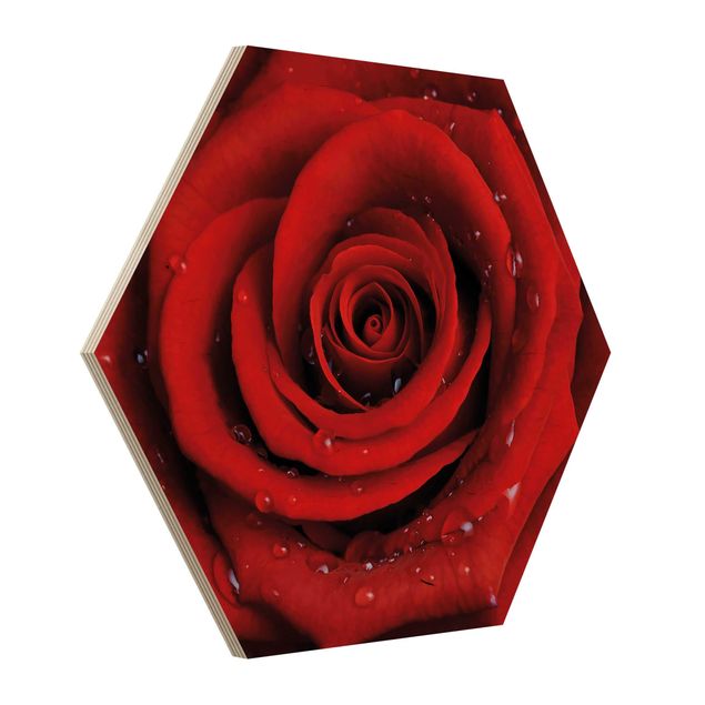 cuadro hexagonal Red Rose With Water Drops