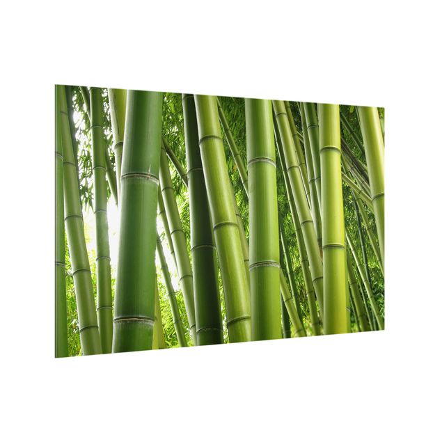 Paneles de vidrio para cocinas Bamboo Trees