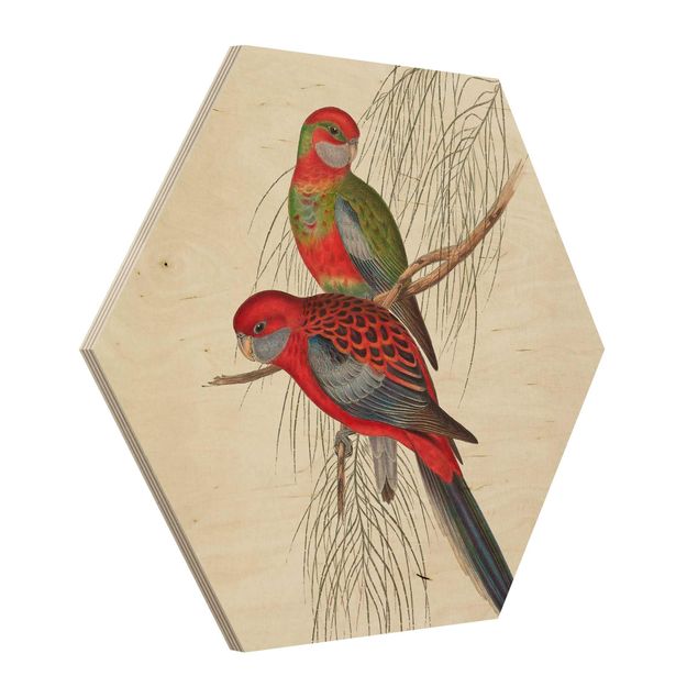 Cuadros Tropical Parrot III