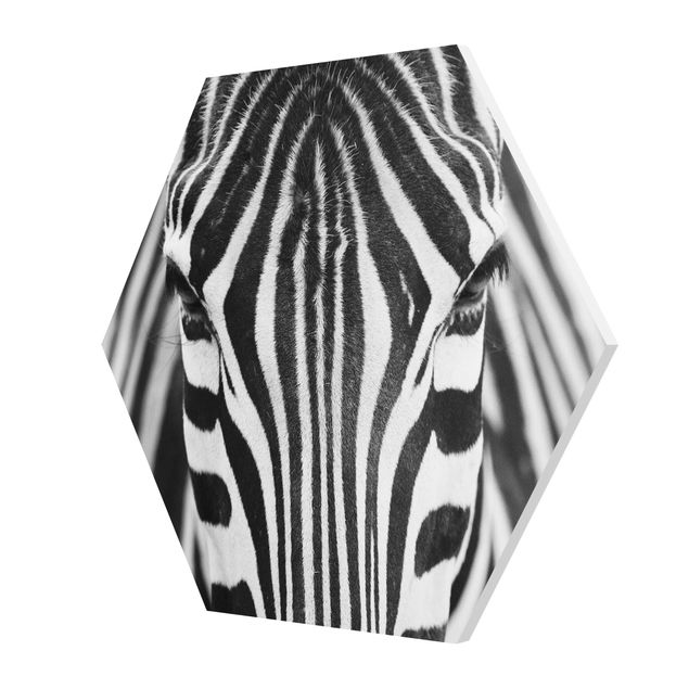 Cuadros en blanco y negro Zebra Look