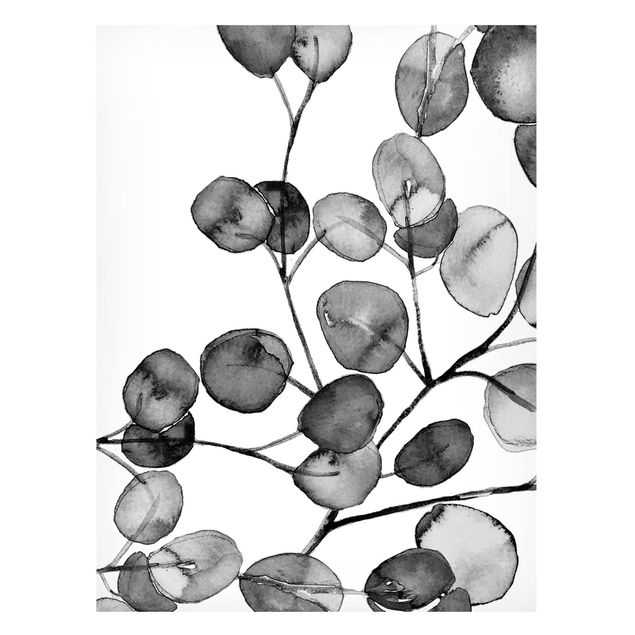 Tableros magnéticos flores Black And White Eucalyptus Twig Watercolour