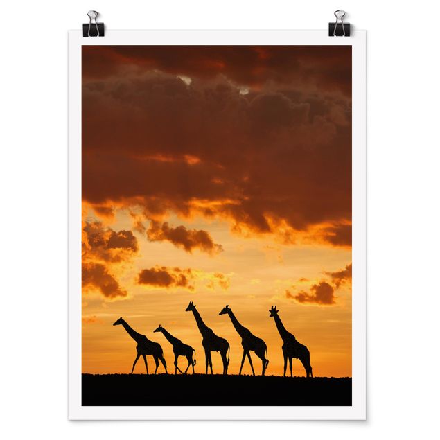 Cuadros africanos Five Giraffes