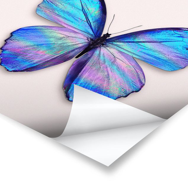 Cuadros famosos Holographic Butterfly