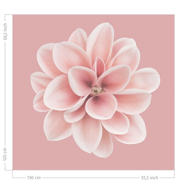cortinas a medida on line Dahlia Pink Blush Flower Centered
