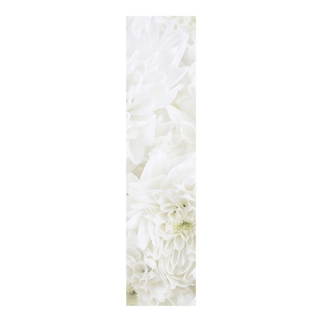 Paneles japoneses flores Dahlias Sea Of Flowers White