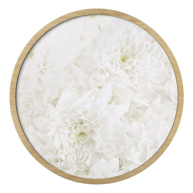 Cuadros con marco Dahlia Sea Of Flowers White