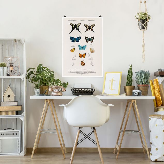 Cuadros de mariposas modernos Vintage Board Butterflies I