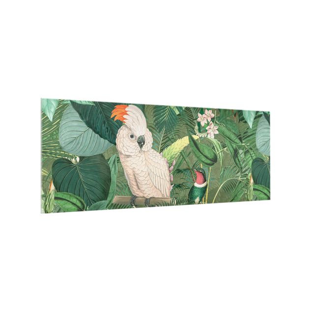 Cuadros Haase Vintage Collage - Cockatoo And Hummingbird