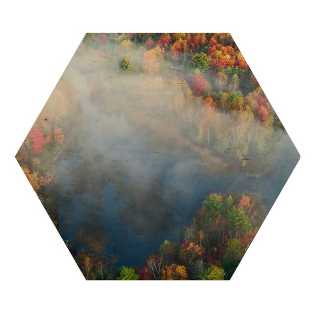Hexagon Bild Holz - Luftbild - Herbst Symphonie