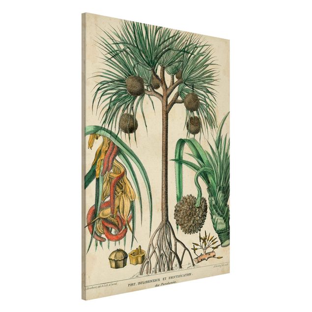 Decoración en la cocina Vintage Board Exotic Palms I