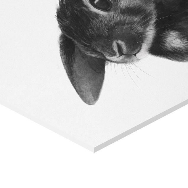 cuadro hexagonal Illustration Rabbit Black And White Drawing
