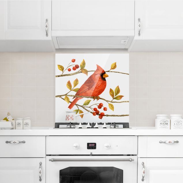 Salpicadero cocina cristal Birds And Berries - Northern Cardinal