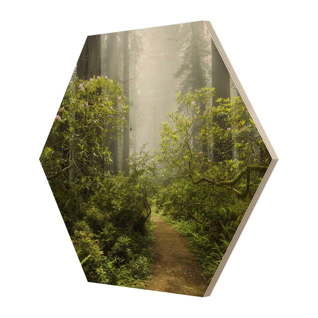 Cuadros hexagonales Misty Forest Path