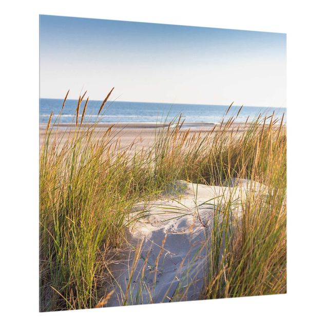 panel-antisalpicaduras-cocina Beach Dune At The Sea