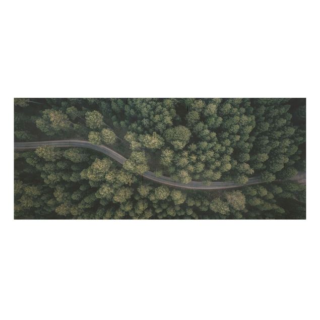 Cuadros de madera paisajes Aerial View - Forest Road From The Top