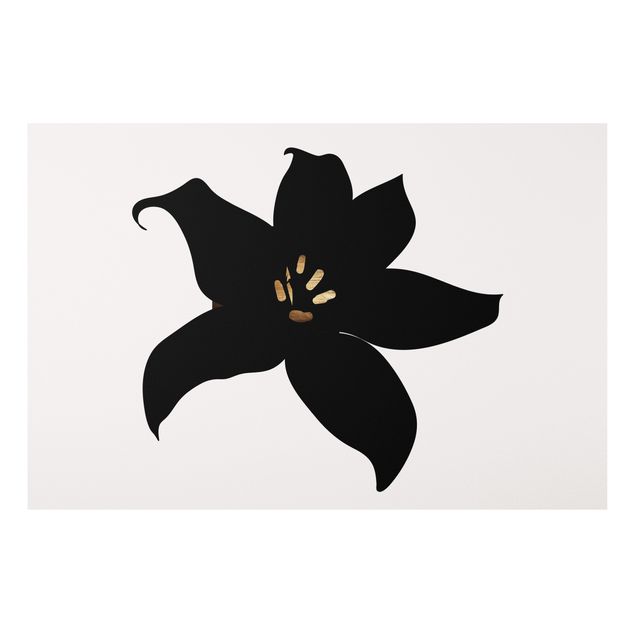 Decoración en la cocina Graphical Plant World - Orchid Black And Gold