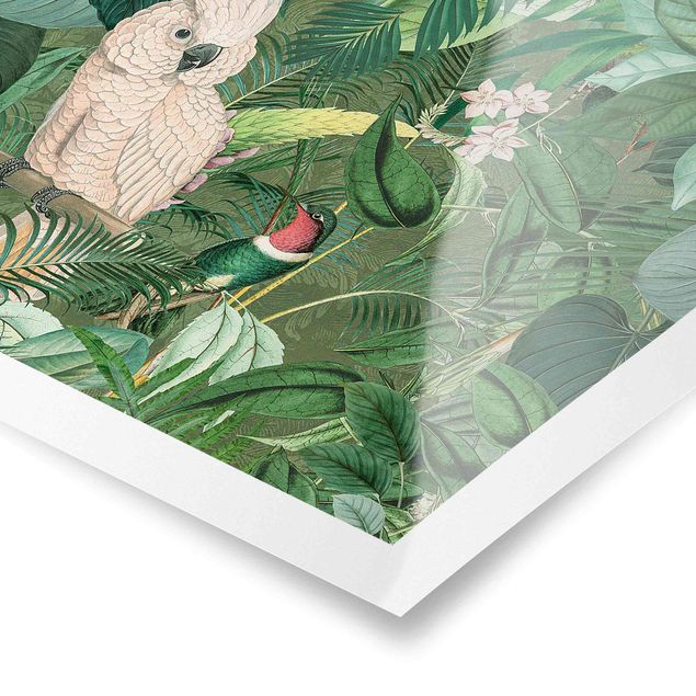 Cuadros Haase Vintage Collage - Kakadu And Hummingbird