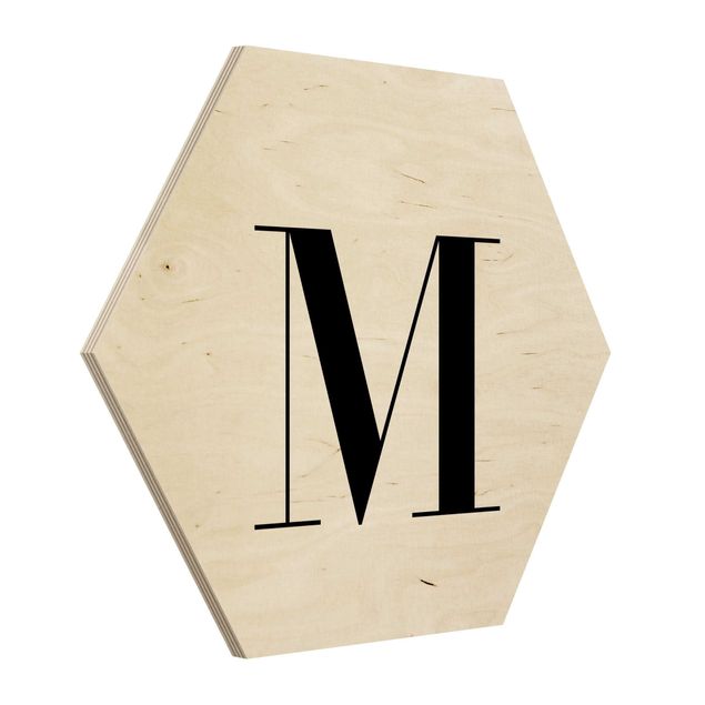 cuadro hexagonal Letter Serif White M