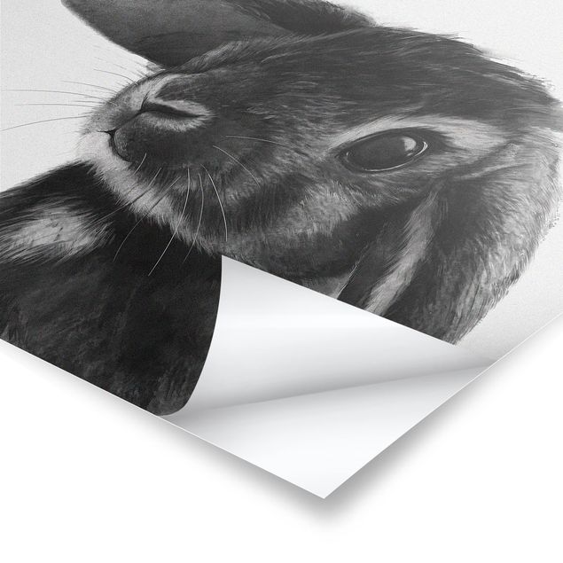 Cuadros Illustration Rabbit Black And White Drawing