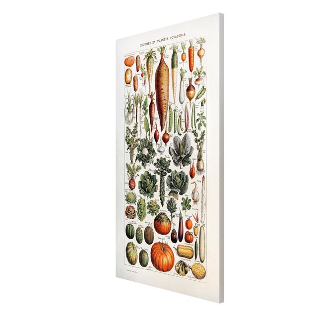 Cuadros verduras Vintage Board Vegetables