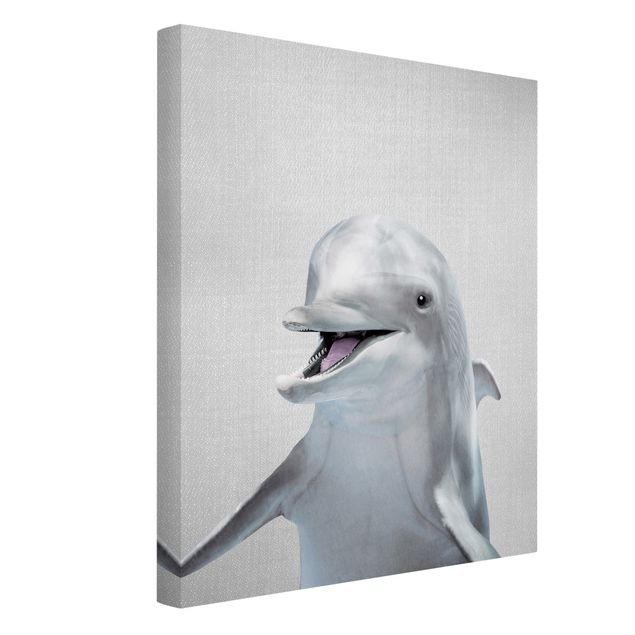 Lienzos en blanco y negro Dolphin Diddi