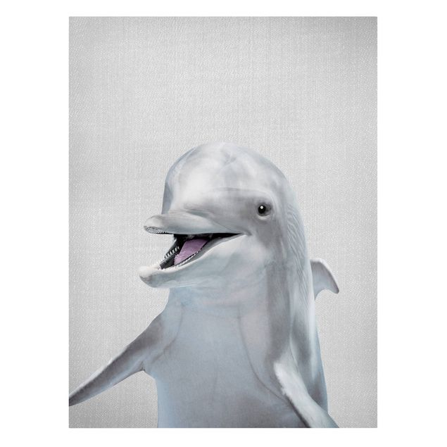 Lienzos animal Dolphin Diddi
