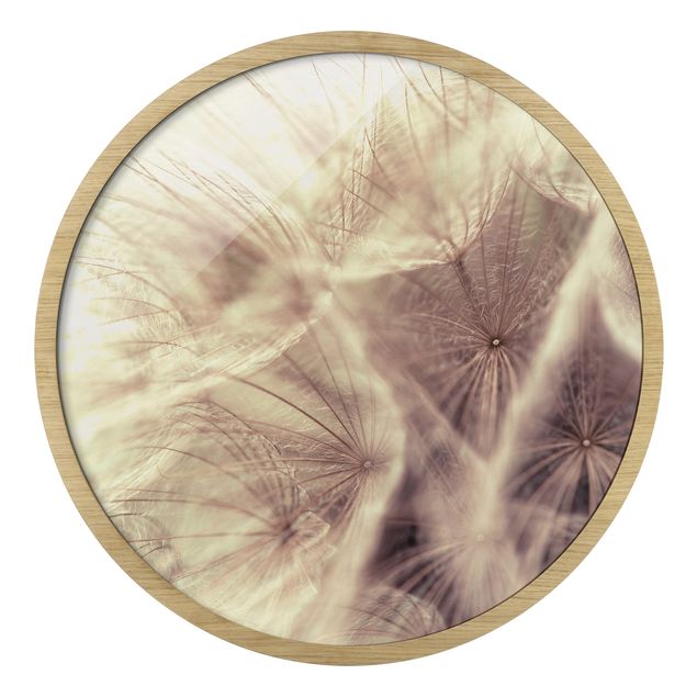 Cuadros con marco Detailed Dandelion Macro Shot With Vintage Blur Effect