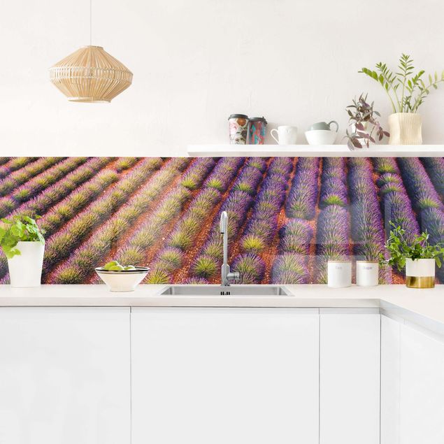 Salpicaderos de cocina flores Picturesque Lavender Field