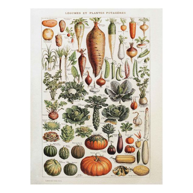 Cuadros verduras Vintage Board Vegetables