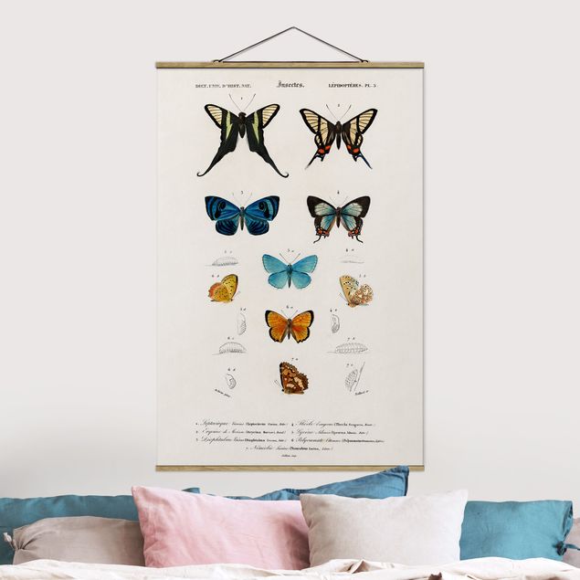 Decoración de cocinas Vintage Board Butterflies I