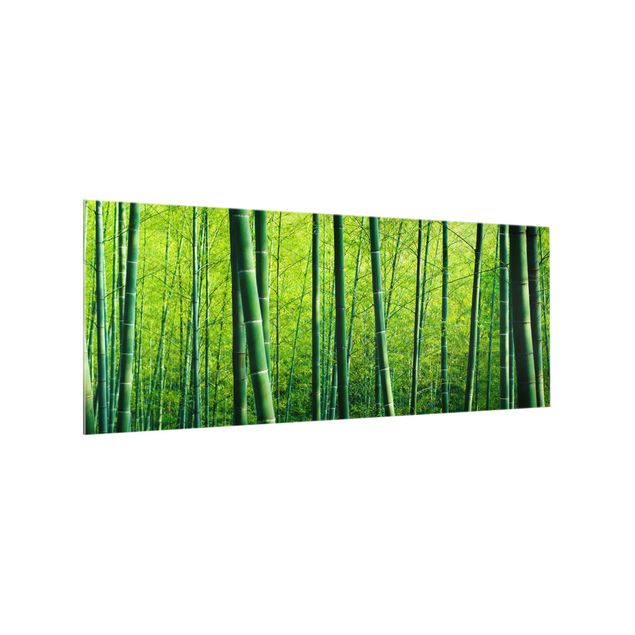 panel-antisalpicaduras-cocina Bamboo Forest