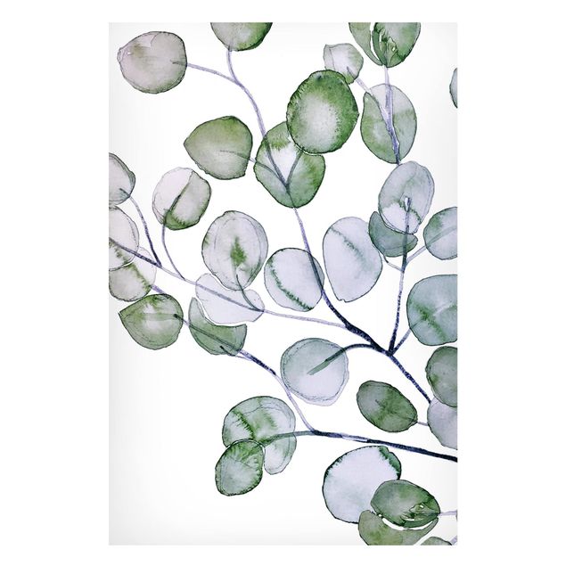 Tableros magnéticos flores Green Watercolour Eucalyptus Branch