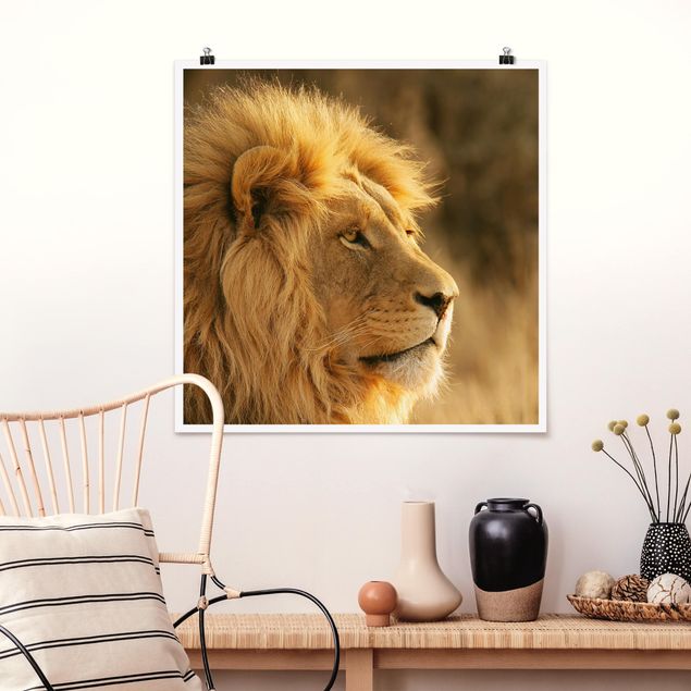 Cuadros leones King Lion