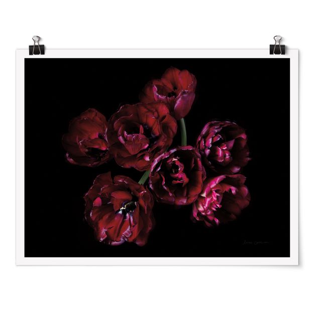 Cuadro negro Double tulips in red