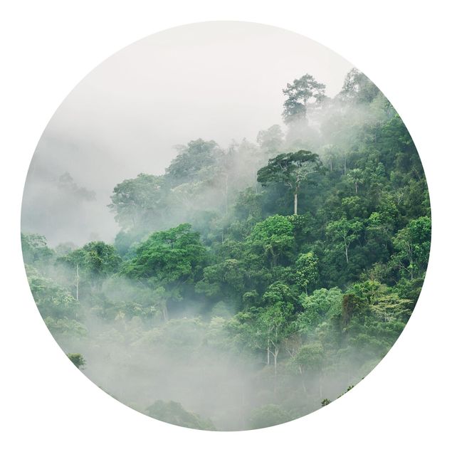 Papel pared paisaje Jungle In The Fog