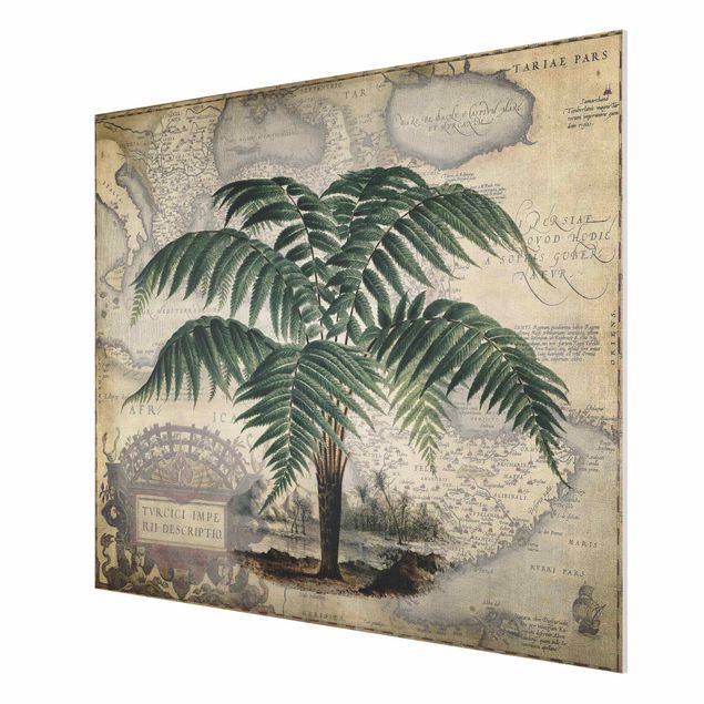 Cuadros plantas Vintage Collage - Palm And World Map
