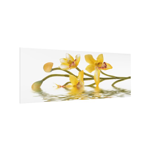 Salpicadero cocina cristal Saffron Orchid Waters