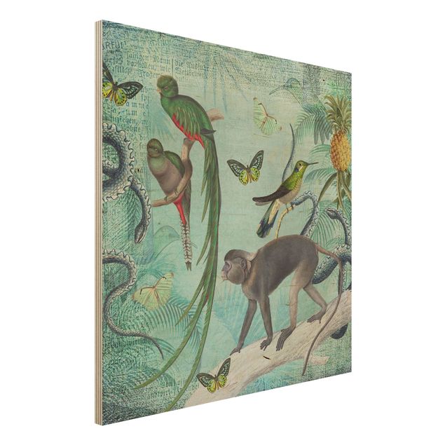 Decoración de cocinas Colonial Style Collage - Monkeys And Birds Of Paradise